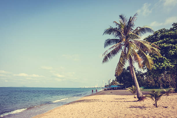istock Beautiful beach and sea with palm tree 638954208