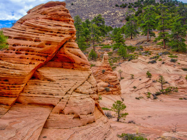 istock Hoodoo, Zion National park 638954430