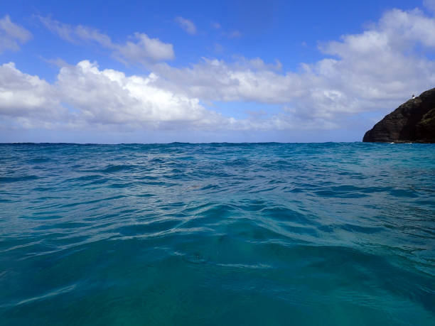 istock Ocean waves ripple and Makapuu point 638960386