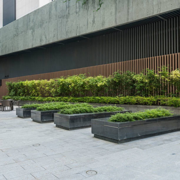 istock modern building outdoors with green flowerbed 638968518