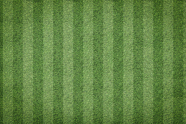 istock grass of soccer field background 638969506