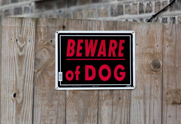 istock Beware of dog sign 638970016