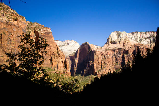 istock Rocks in Zion National Park 638972318