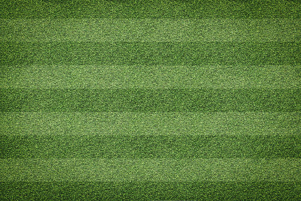 istock grass of soccer field background 638972382