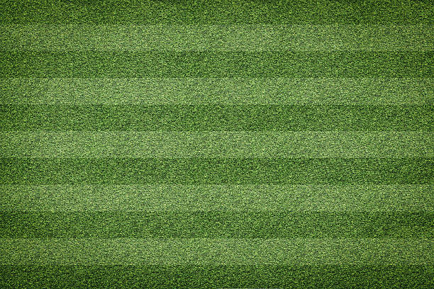 istock grass of soccer field background 638972990