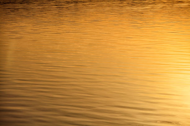 istock Golden reflection at sea as backgrounds 638975304