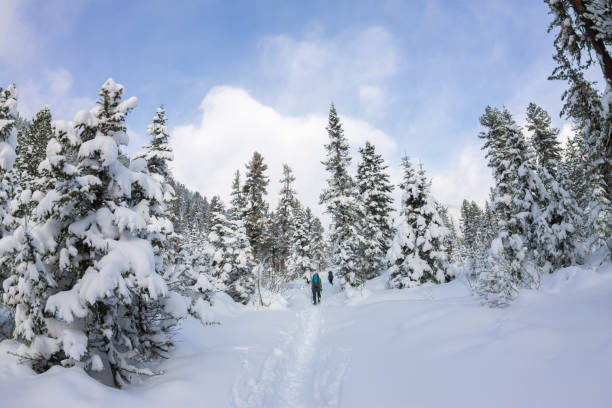 istock Girl backpacker walking on a forest road in winter forest 638975666