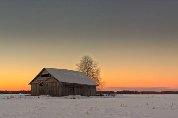 середина зимы закат на полях - winter finland agriculture barn стоковые фото и изображения