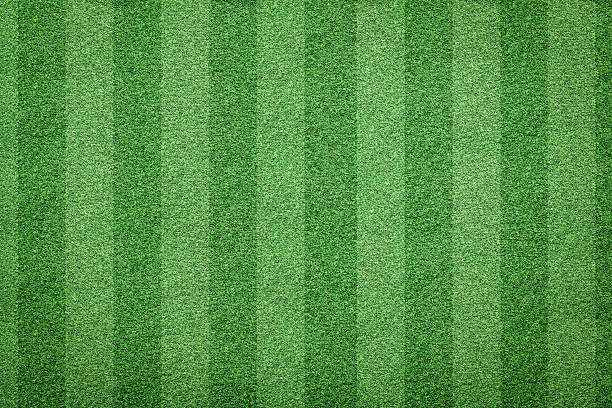 istock grass of soccer field background 638976316