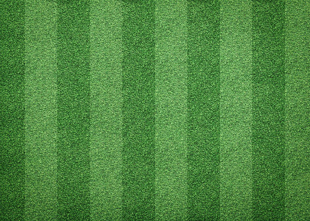 istock grass of soccer field background 638976532