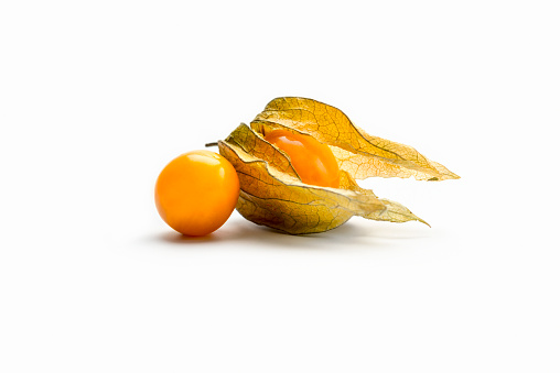 grouping of two physalis berries with delicate papery husk on white background