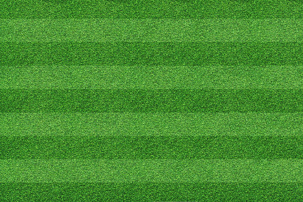 istock grass of soccer field background 638976830