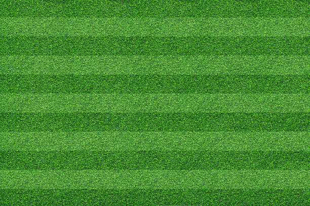 istock grass of soccer field background 638977632