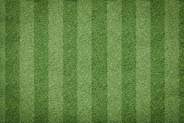 istock grass of soccer field background 638977894