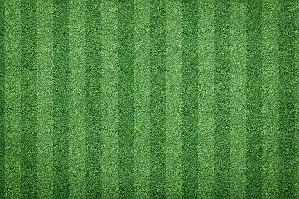 istock grass of soccer field background 638978172