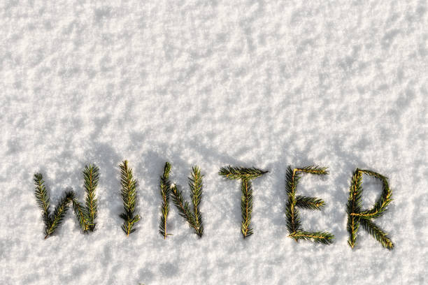istock Winter word composed of fir branches on the white snow 638980056
