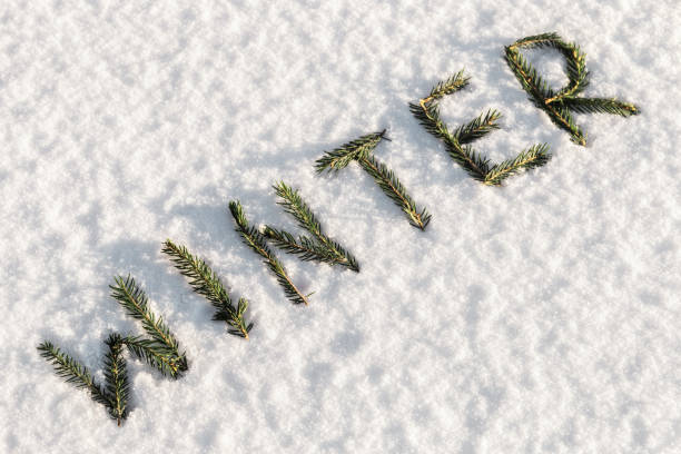 istock Winter word composed of fir branches on the white snow 638980104