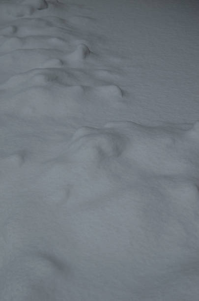 istock Texture of white snow as a background 638980170