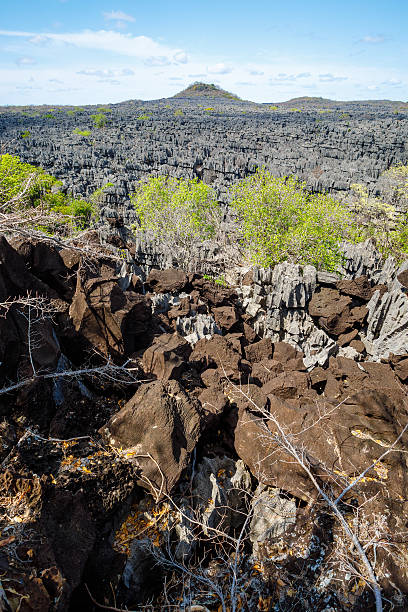 istock Tsingy rock formations in Ankarana, Madagascar 638982920