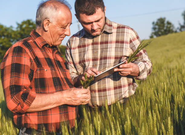 istock Two farmer standing in a field and looking at tablet 638983564