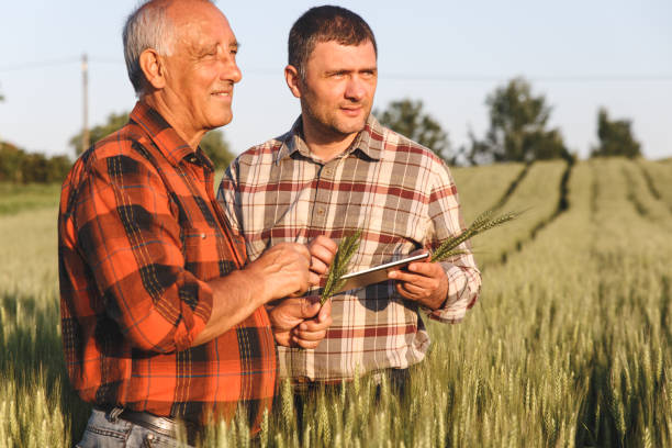 istock Two farmer standing in a field and looking at tablet 638983692