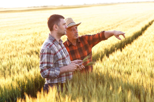 istock Two farmer standing in a field and looking at tablet 638983842