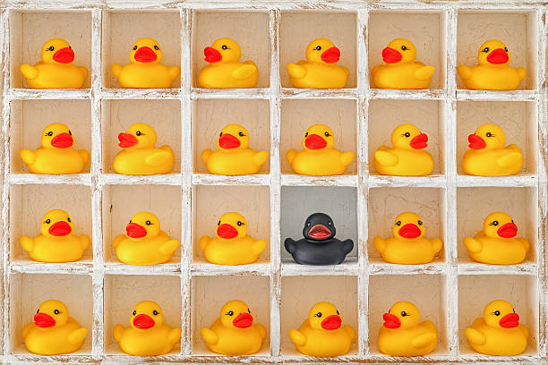 istock Yellow rubber ducks in pigeon holes, one black duck. 638983956