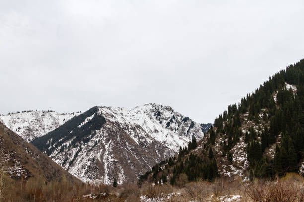 istock the first snow in the mountains 638984166