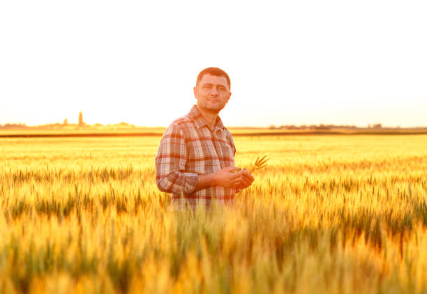 istock Young farmer in a field examining crop 638989226