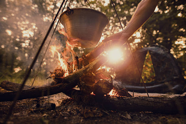 istock Hand of man adding log wood on campfire while cooking. 638991410