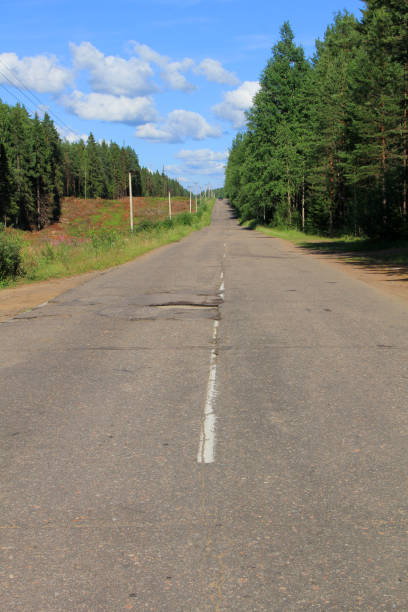 istock Country road at forest 638992236