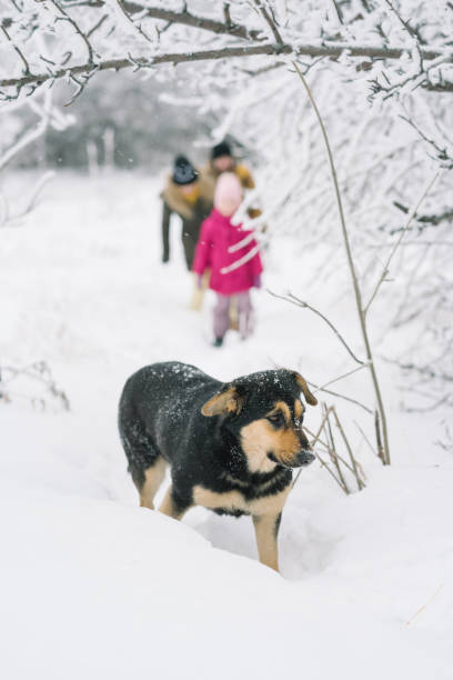 istock family fun is photographed with a dog 638992492