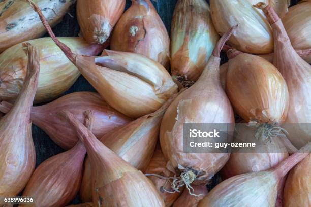 Bulk Shallots Stock Photo - Download Image Now - Condiment, Food, Food and Drink