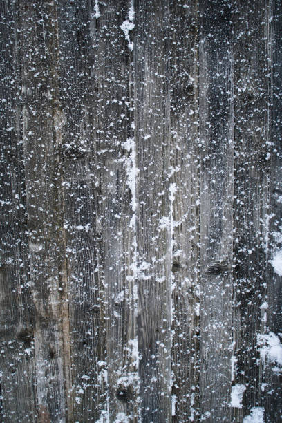 istock snowflakes on the boards 638997424