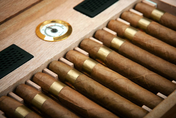 cigars in the humidor cigars in the humidor cigar humidor stock pictures, royalty-free photos & images