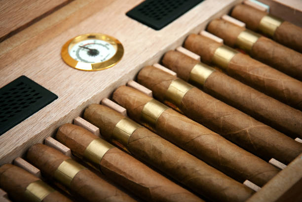 cigars in the humidor cigars in the humidor hygrometer photos stock pictures, royalty-free photos & images