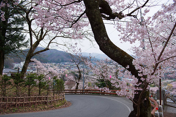 istock Sakura and curved roads and streets 639000596