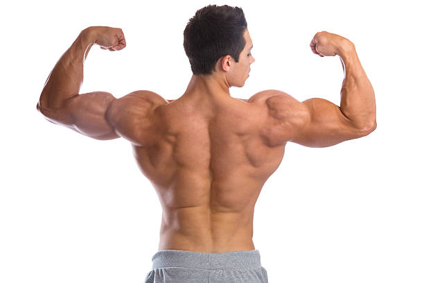 istock Bodybuilder bodybuilding muscles back biceps strong muscular young 639002878
