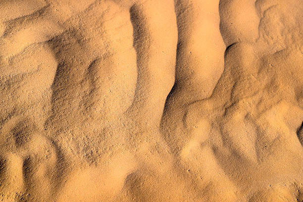 istock Sahara Desert beautiful sands, dunes and barchans 639003416