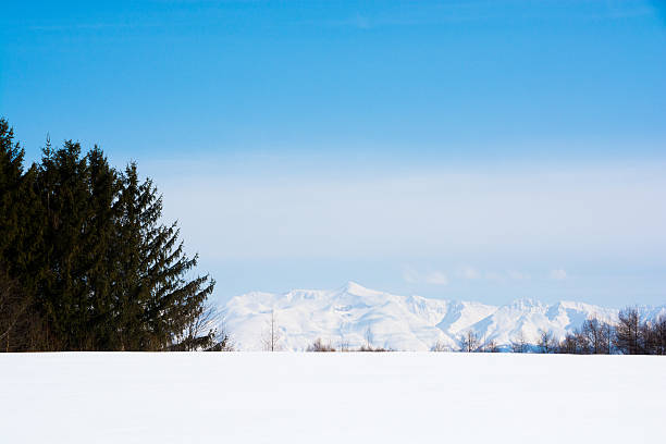 istock Snowfield, the blue sky and mountain top 639005752