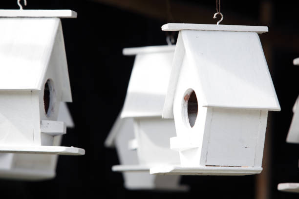 istock white wooden birdhouse as background. 639005990