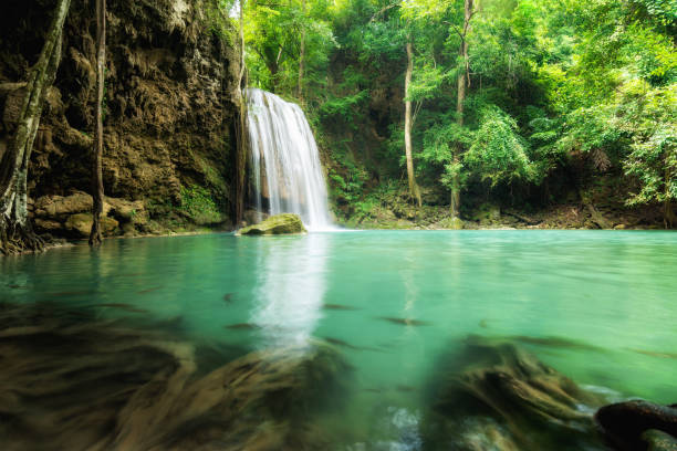 cascada erawan en la provincia de kanchanaburi, tailandia. - kanchanaburi province beauty in nature falling flowing fotografías e imágenes de stock