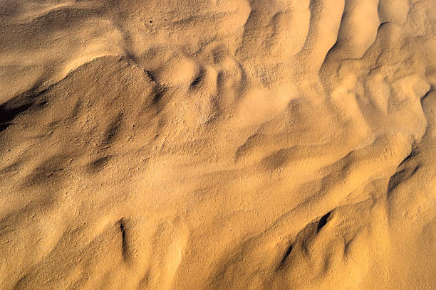 istock Sahara Desert beautiful sands, dunes and barchans 639006104