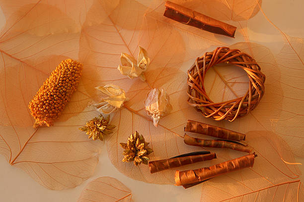 Dried florist supplies,
