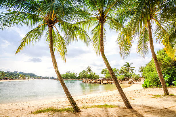 istock Sentosa Island Beach, Singapore 639006186