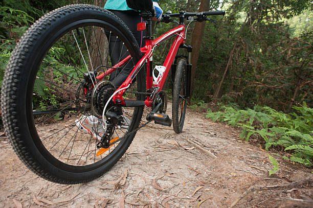 people cycling  on forest trail