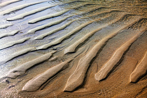 istock Background of rippled sandy beach 639007220