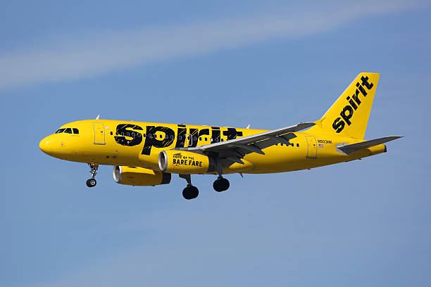 Spirit Airlines Airbus A319 airplane Los Angeles, United States - February 19, 2016: A Spirit Airlines Airbus A319 with the registration N503NK landing at Los Angeles International Airport (LAX) in the United States. Spirit Airlines is an American low-cost airline with its headquarters in Fort Lauderdale. landing touching down stock pictures, royalty-free photos & images