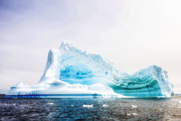 istock Icebergs in Antarctica 639009504