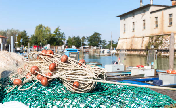 dryga w harbor - commercial fishing net fishing net fishing fishing industry zdjęcia i obrazy z banku zdjęć